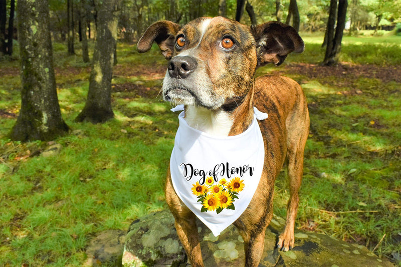 [Australia] - Moonwake Designs- Dog of Honor Bandana, Sunflower Wedding Bandana, Maid of Honor Dog Bandana, Wedding Photo Prop, Pet Scarf, Pet Accessories 