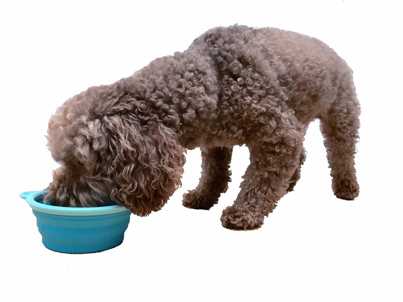 Prima Pet Expandable/ Collapsible Silicone Food & Water Travel Bowl with Clip for Small & Medium Dog and Cat, Size: 1.5 Cups (5.1 Inch Diameter Bowl) (AQUA) SMALL (1.5 CUPS) AQUA - PawsPlanet Australia