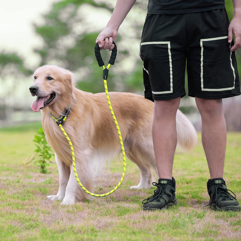 iYoShop 6 FT Durable Slip Lead Dog Leash with Zipper Pouch, Padded Handle and Highly Reflective Threads, Dog Training Leash, Medium (3/8" x 6FT, 8-35 lbs) | Large (1/2" x 6FT, 35-150 lbs) Green - PawsPlanet Australia