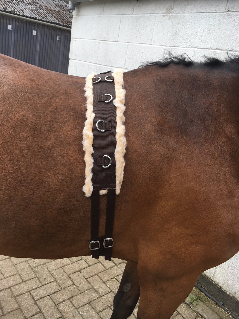 Cwell Equine Synthetic Fleece PAD LUNGE BREAKING TRAINING ROLLER + adjustable girth BROWN F/C/P - PawsPlanet Australia