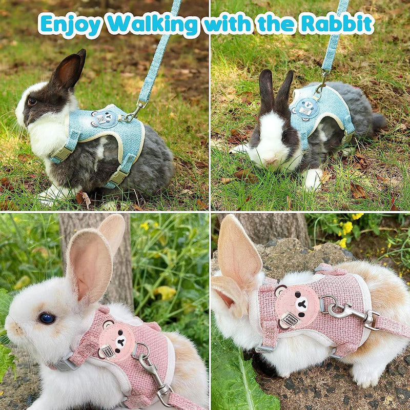 Pack of 3 Rabbit Leash 120 cm Adjustable Cat Harness Rabbit Harness Rabbit Leash Dwarf Rabbit Rabbit Leash for Dwarf Rabbits Cat Harness Set with Leash for Cats Cat Harness (3-6 kg) 3-6 kg - PawsPlanet Australia
