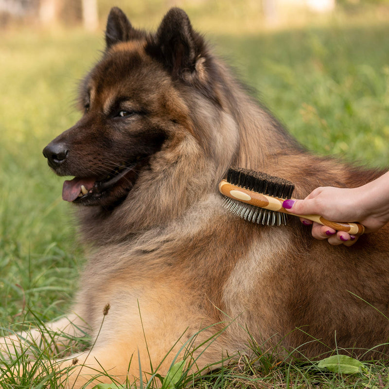 Golden Pets Bamboo 2 in 1 dog brush & cat brush I smoothing and de-matting I medium - long-haired fur suitable I dog comb for undercoat I + free care manual - PawsPlanet Australia