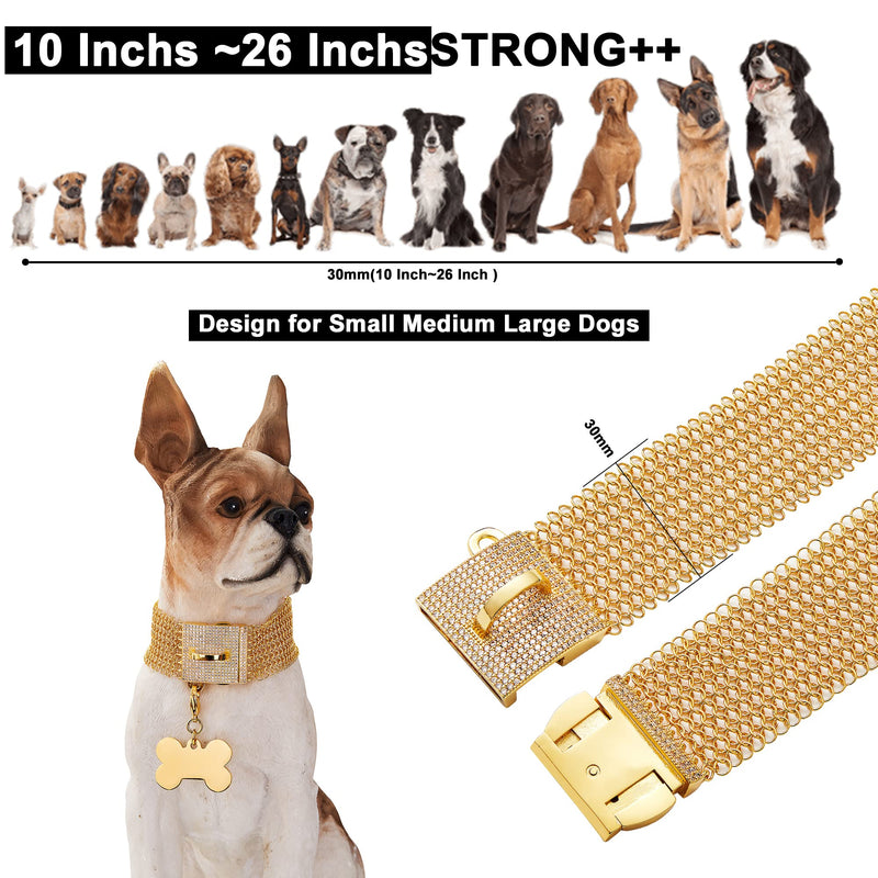 W/W Lifetime Dog Chain Collar Necklace 18K White Gold Plated Stainless Steel Chain Collarwith Bling Bling CZ Design Secure Buckle, 30MM Strong Chew Proof Anti-Rust for Medium Large Dogs 10"(Fits Dog Neck 8" to 9.5") - PawsPlanet Australia