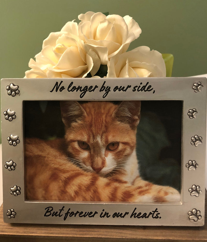 [Australia] - NewLifeLandia Pet Memorial Picture Frame Keepsake for Dog or Cat, Perfect Loss of Pet Gift for Remembrance and Healing 