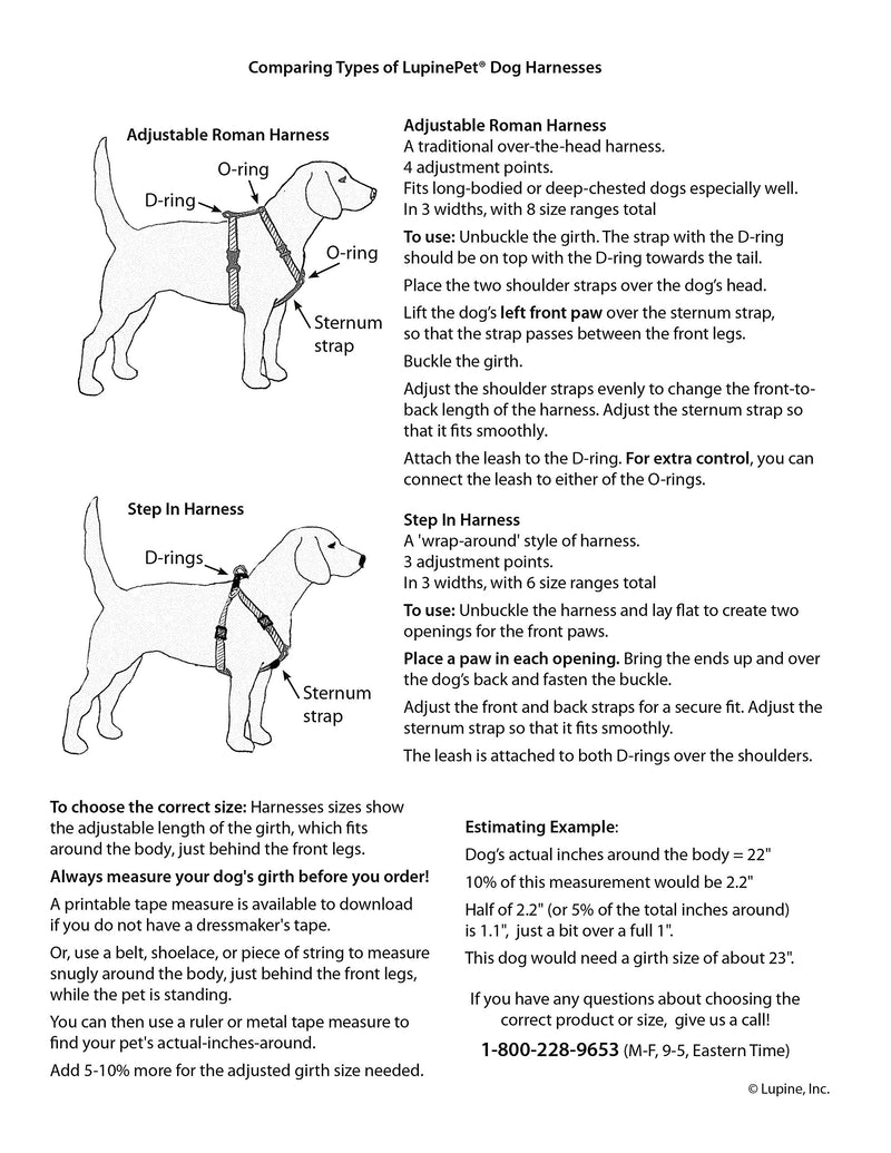[Australia] - Lupine 3/4 Inch Rain Song Roman Dog Harness 3/4"W; 20-32" Girth 