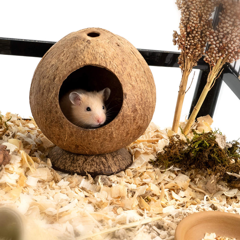 [Australia] - andwe Coconut Hut Hamster House Bed: for Gerbils Mice Small Animal Cage Habitat Decor 