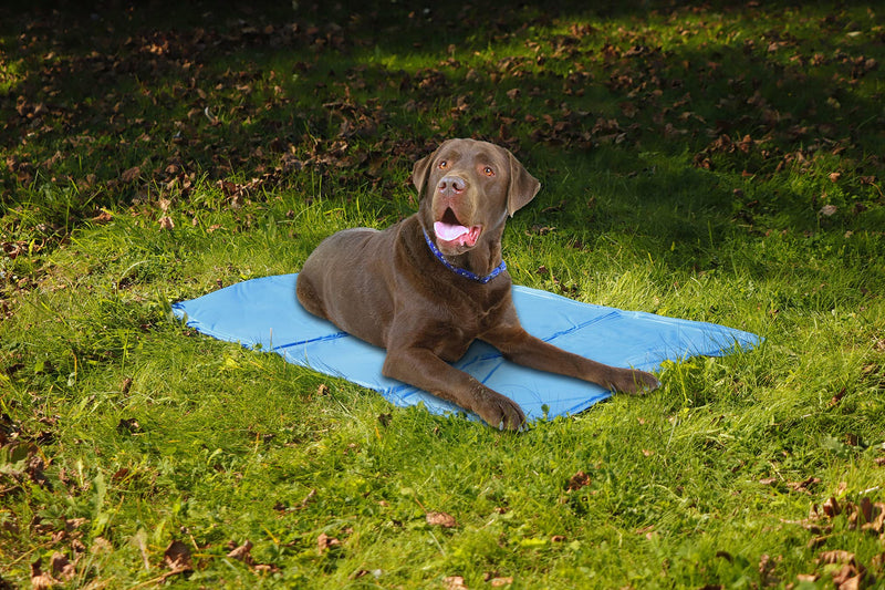 Streetwiz Pet Cool Mat 90 * 50cm - PawsPlanet Australia