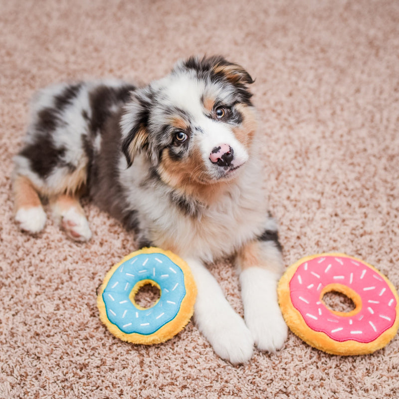 ZippyPaws - Mini Donutz No Stuffing Squeaky Plush Dog Toy - Blueberry - PawsPlanet Australia