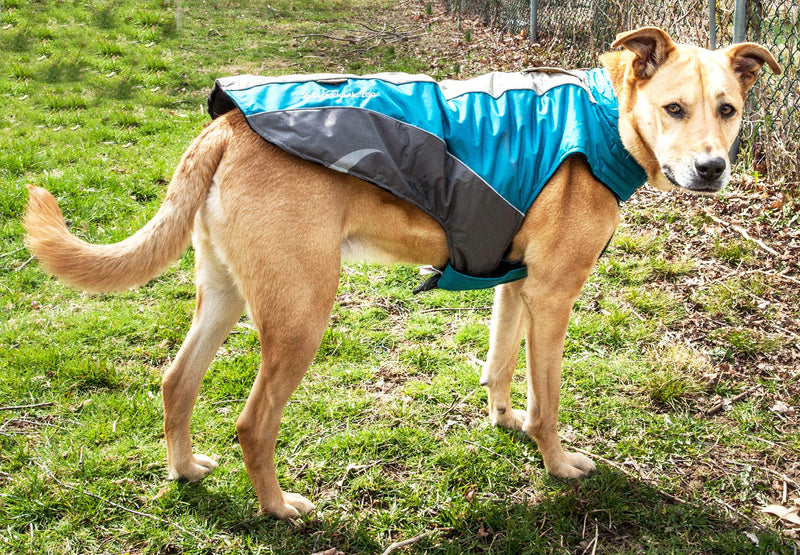 [Australia] - DOGHELIOS 'Altitude-Mountaineer' Wrap-Velcro Protective Waterproof Pet Dog Coat Jacket w/ Blackshark Technology, Medium, Blue, Charcoal Grey, Light Grey 