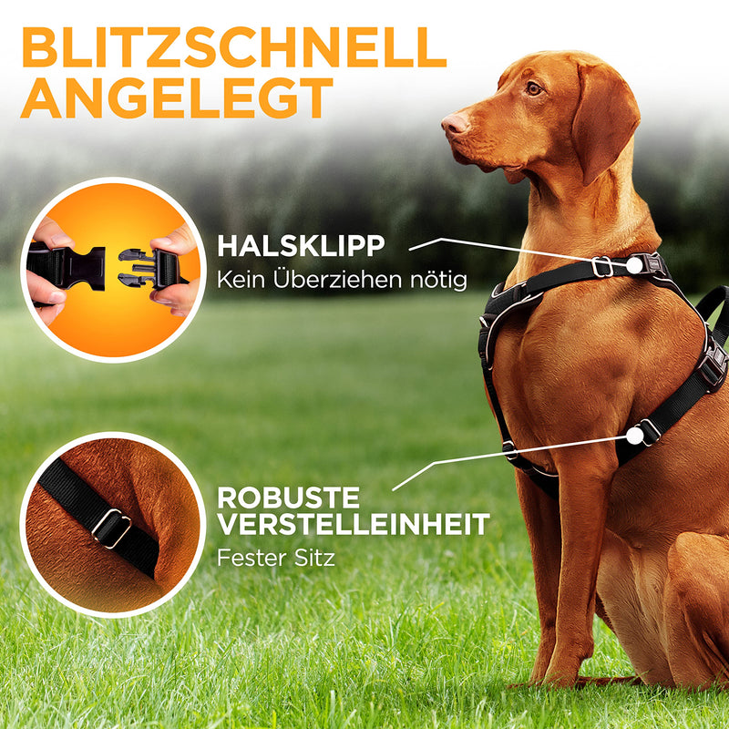 Tierhood - Dog harness for small, medium and large dogs - [INCL. NECK CLIP] - Dog Harness - Dog Safety Harness - Medium Dog Harness - Dog Harness - Dog Pull Harness 35 Black - PawsPlanet Australia