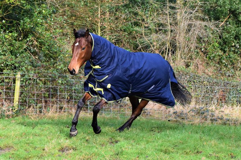 Asker 0g Horse Lightweight Standard Neck Turnout Rug - Navy Blue 4ft 6in - PawsPlanet Australia