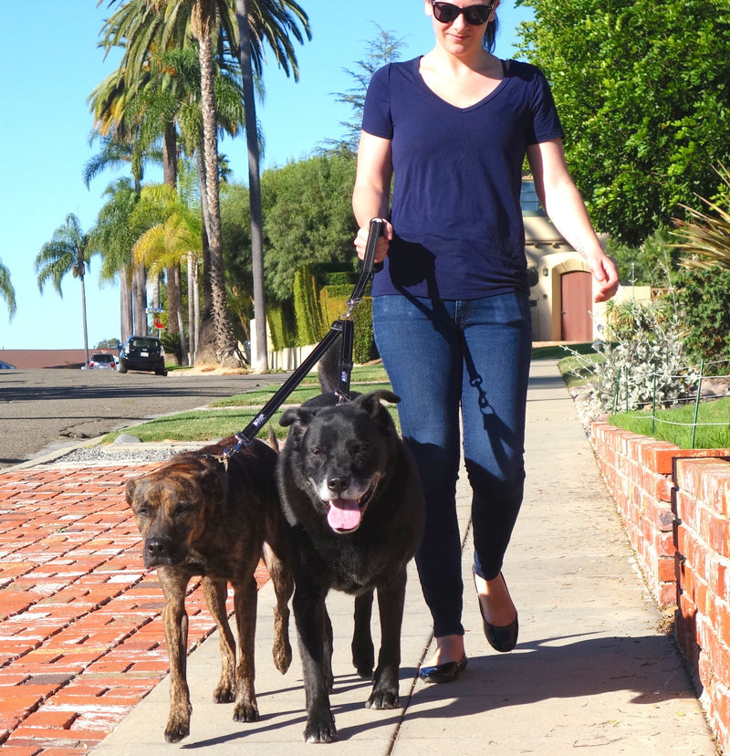 [Australia] - Leashboss Duo - Adjustable Double Dog Leash for Large Dogs - Reflective No Tangle Leash for Walking Two Dogs at Once Coupler with Handle 