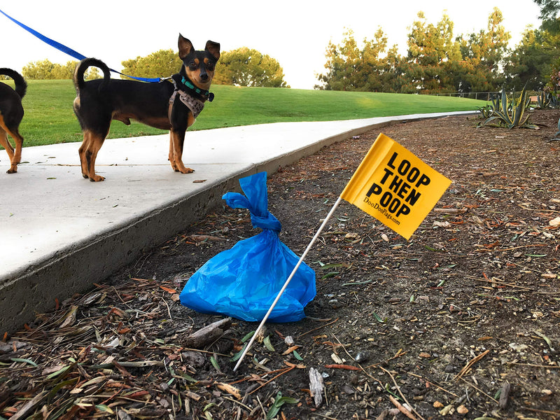 [Australia] - x 10 | Sign Reads: Loop Then Poop | BRB Flag | Be Right Back for Poop Bag | Dog Poop Bag Flags | Trail Dog Poop Bag Flag | Poop Bag Disposal 