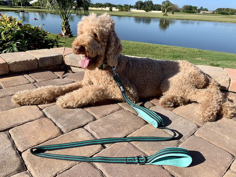 Black Rhino Dog Leash - Heavy Duty - Medium & Large Dogs | 5ft Long Leashes | Two Traffic Padded Comfort Handles for Safety Control Training - Double Handle Reflective Lead 5 Ft Aqua/Gr - PawsPlanet Australia