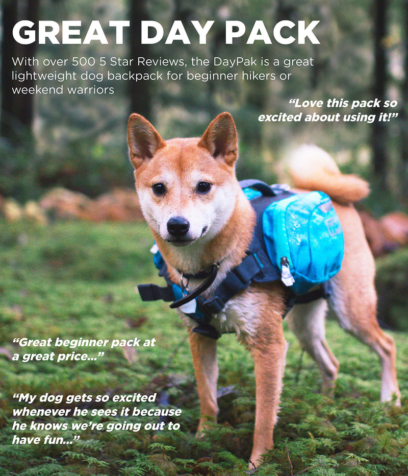 [Australia] - Daypak Dog Backpack Hiking Gear For Dogs by Outward Hound LG Blue 