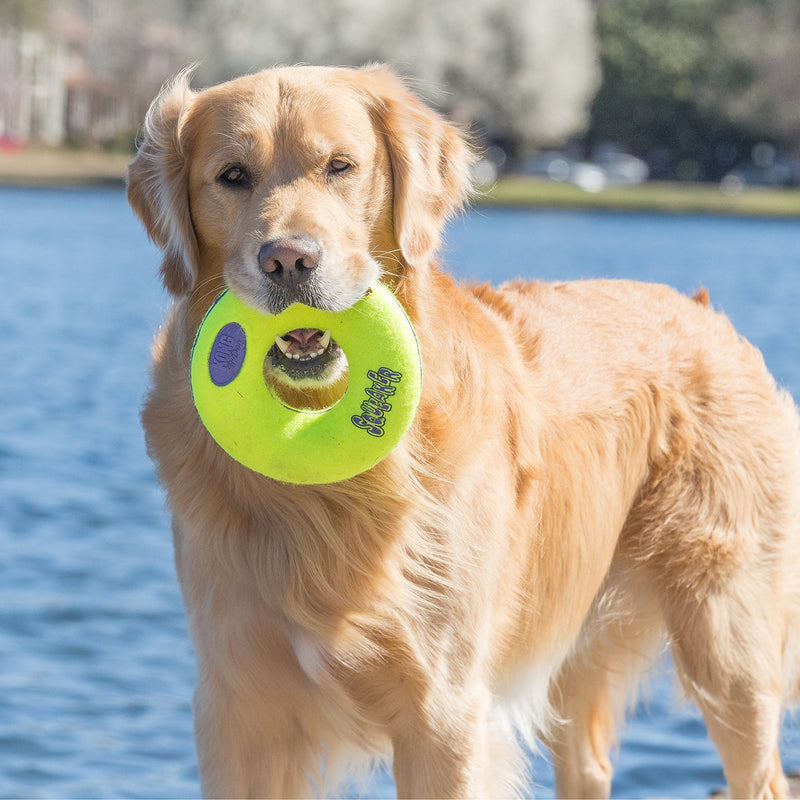 KONG Air Dog Squeaker Donut Dog Toy, Medium Airdog Donut - Medium - PawsPlanet Australia