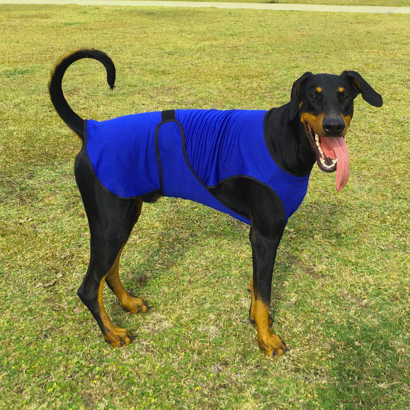 [Australia] - DOGZSTUFF Dog Cooling Vest. Lightweight Jacket with Evaporative Cool Microfiber Technology, UV Protection Shirt, Sizing for Small, Medium and Large Dogs Rose Red 