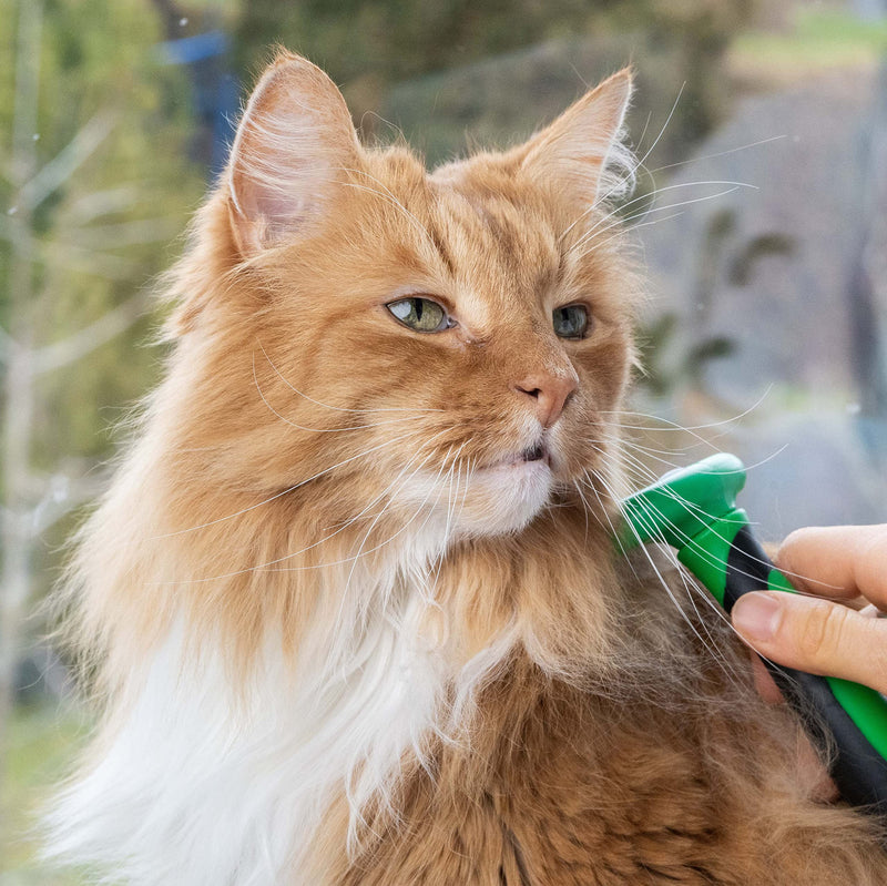 Fino Pet cat brush size S especially for small and medium-sized cats up to 4 kg, for short-haired and long-haired cats, grooming, grooming tool as an accessory, cat undercoat brush, flea comb - PawsPlanet Australia