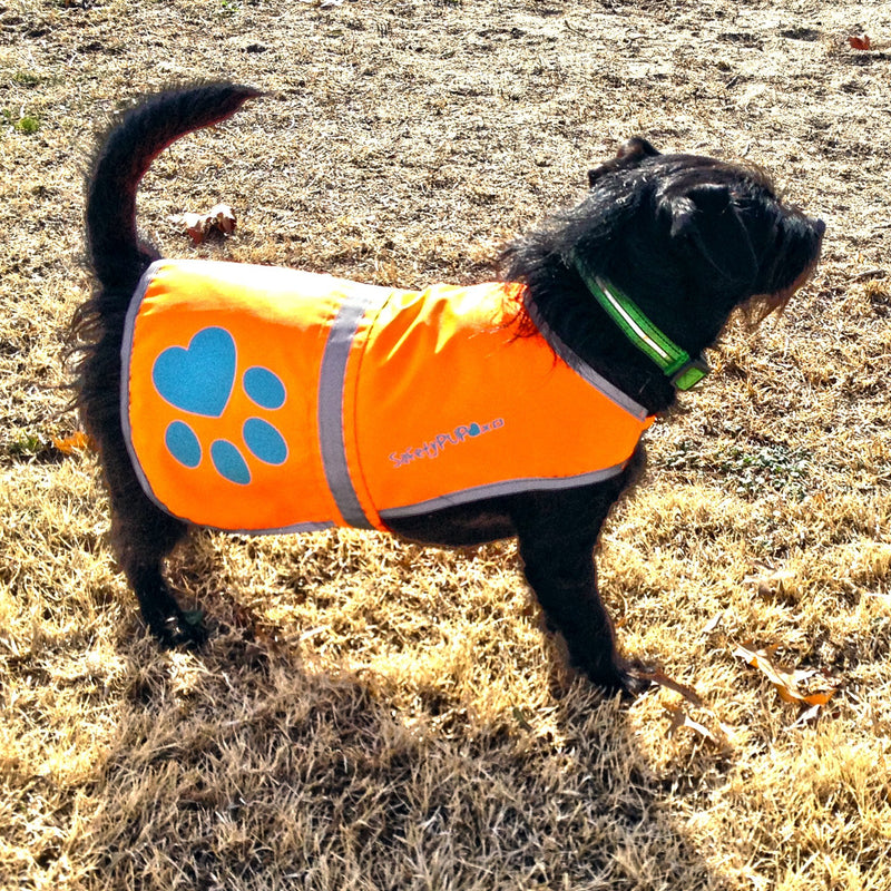 SafetyPUP XD - Reflective Dog Vest. Hi-Visibility, Fluorescent Blaze Orange Dog Vest Helps Protect Your Best Friend. Safeguard Your PUP from Motorists & Hunting Accidents, On or Off Leash. 5 Small - PawsPlanet Australia