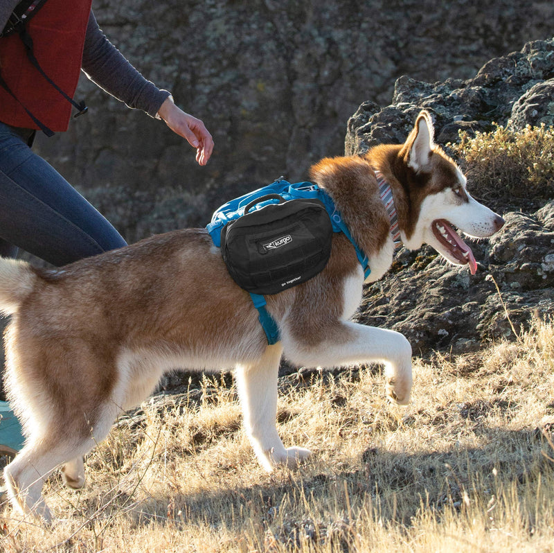 Kurgo RSG Saddle Bag for Dogs, Compatible with RSG Harnesses and Belts, Two Zip Pockets, Black - PawsPlanet Australia