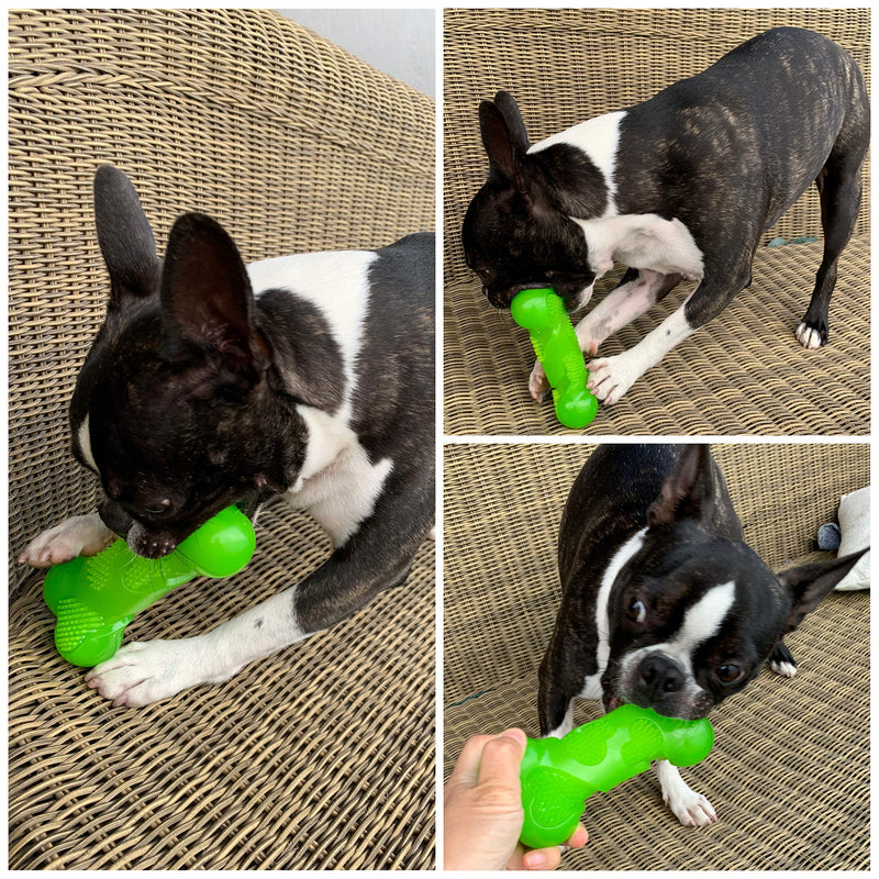 AVANZONA Dog Toy, TPR Squeaky Bone, Durable and Flexible Chewables for Aggressive Chewers, Tooth Cleaning for Small, Medium and Large Dogs 14 cm. Green Bone - PawsPlanet Australia