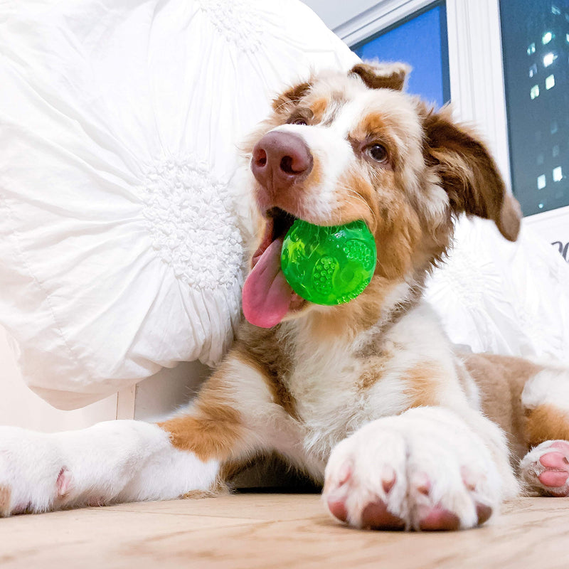 [Australia] - Hyper Pet Dura-Squeaks Ball Dog Toy 