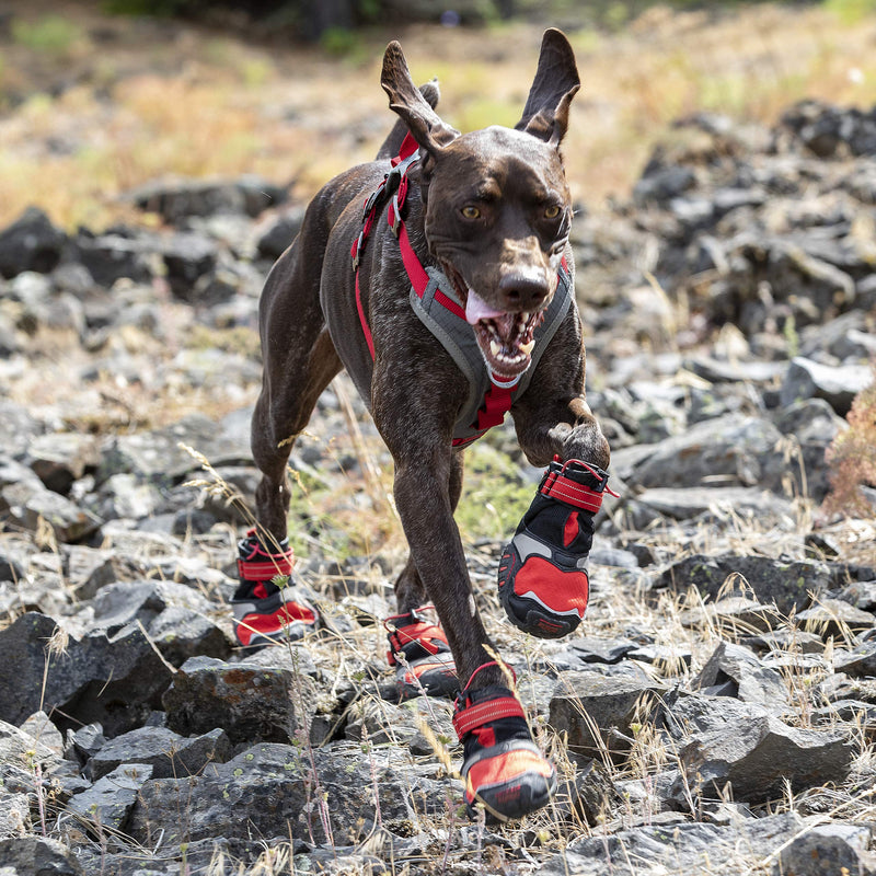 [Australia] - Kurgo Blaze Cross Dog Shoes | Winter Boots for Dogs | All Season Paw Protectors | Dog Shoes for Hot Pavement | Dog Snow Boots | Water Resistant | Reflective | No Slip | Chili Red/Black (X-Small) 