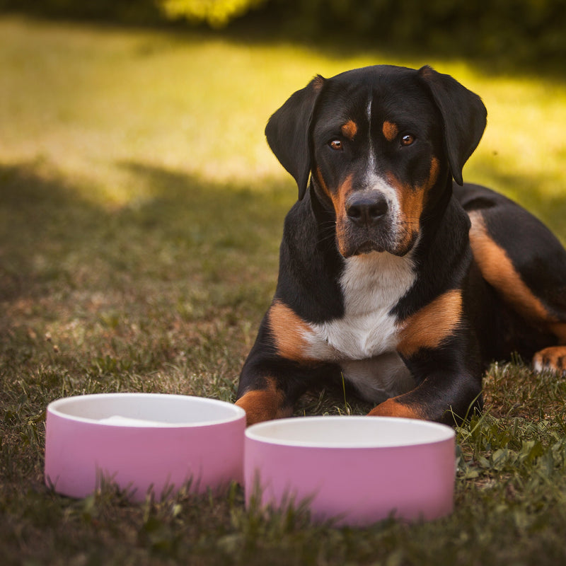 [Australia] - Magisso Happy Pet Project Naturally Cooling Ceramics Water Bowl tal-lt Pink 