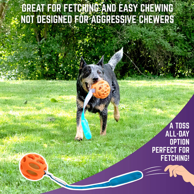 [Australia] - Chew King Fetch Balls Durable Natural Floating Dog Toy, Float and Glow Flyer, Squeaker Ball Dog Toy Flyer - 3.25" 