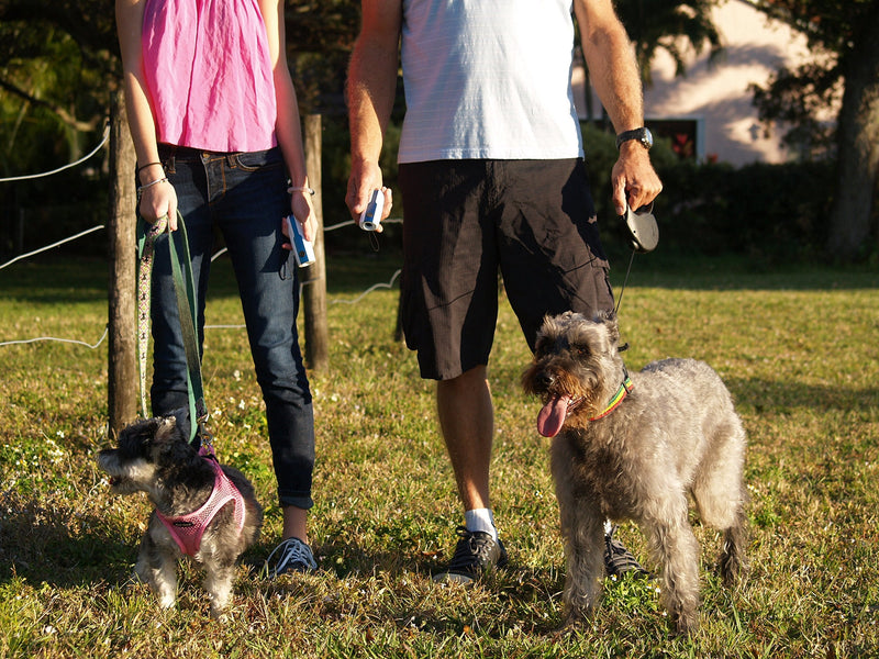 Doggie Don't Device - Loud- Handheld Dog Repellent, Bark Control Device and Dog Training Aid - Loud Patented Sound Stops Barking and Bad Behaviors - No Shock and Humane - PawsPlanet Australia