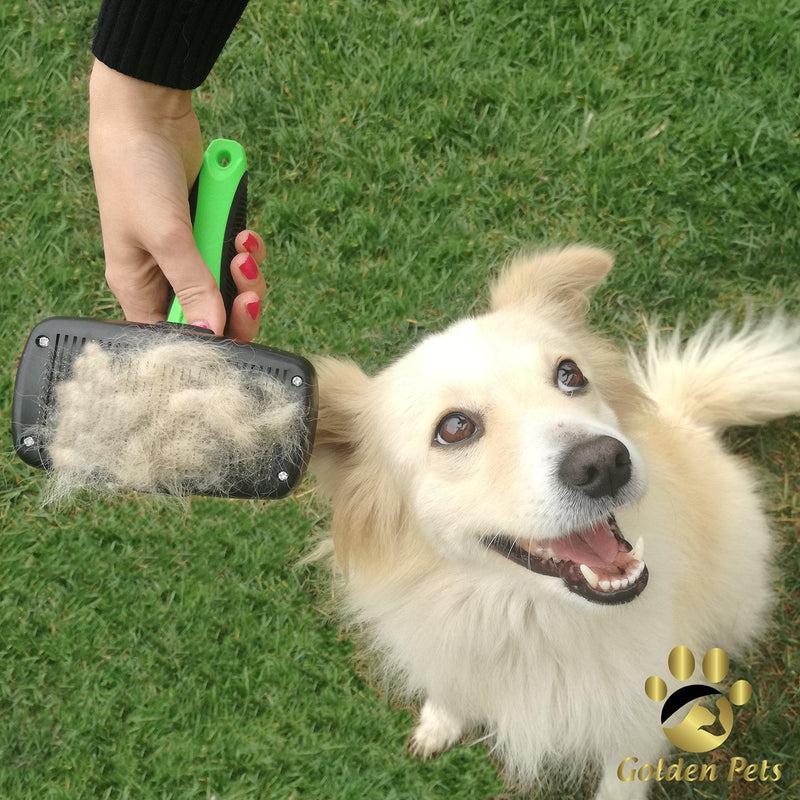 Golden Pets Self-cleaning dog brush & cat brush I Improved version I Suitable for short to long hair I Small - large animals I Quick cleaning I + care manual For medium - large animals - PawsPlanet Australia