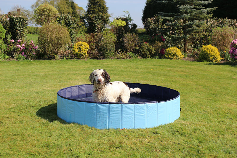 Rosewood Cool Down Dog Pool, 120 x 30 cm, Medium M - PawsPlanet Australia