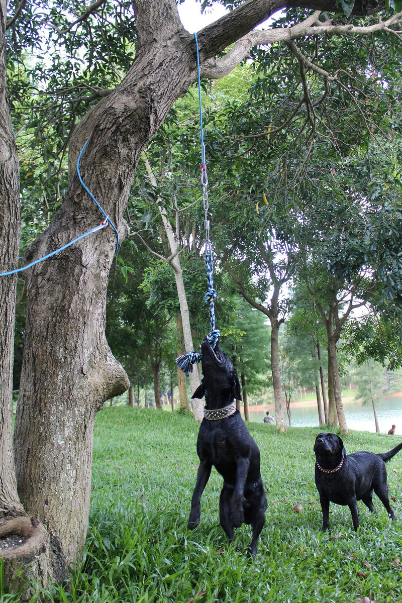 SAINUOD Spring Pole Dog Rope Toys, Strong Dog Rope Toy with a Big Spring Pole Kit and a 16ft Rope for Dogs Outdoor Hanging Exercise Rope Pull & Tug of War Toy - PawsPlanet Australia