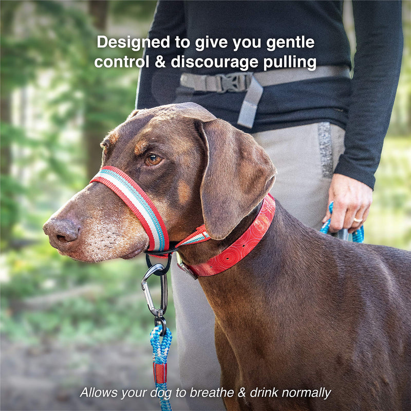 Kurgo Walk About halter for dogs with a neck circumference of 12 to 19 inches, size M, red/blue medium (12 to 19 inch neck) red/blue - PawsPlanet Australia