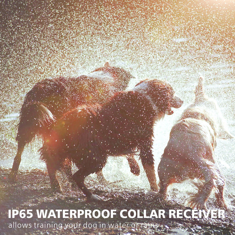 [Australia] - F-color Dog Training Collar, Range 2600ft Dog Shock Collar with Remote Rechargeable Waterproof with 4 Modes Light Beep Vibration Shock Collar for Medium Large Dogs Breed, 3 Pack 