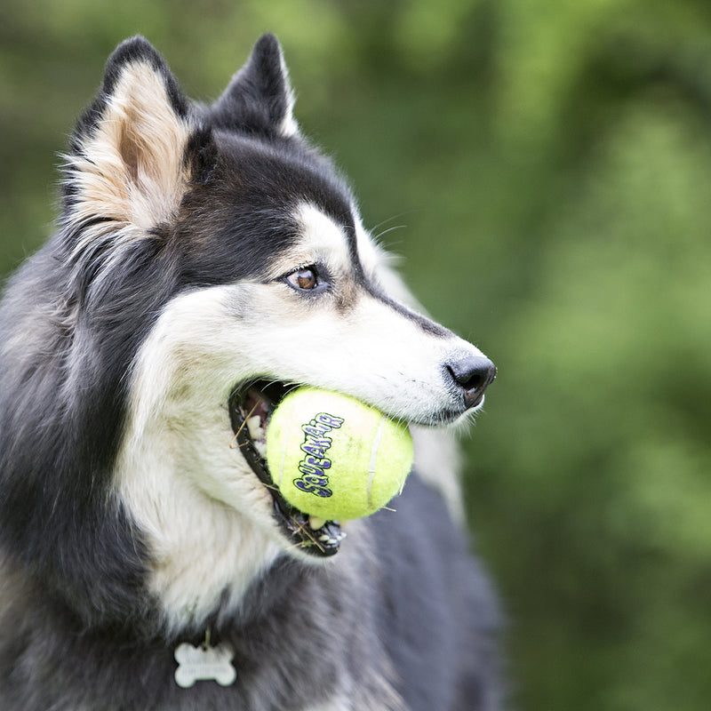 KONG - Squeakair Balls - Dog Toy Premium Squeak Tennis Balls, Gentle on Teeth (3 Pack) - For Small Dogs yellow S - PawsPlanet Australia