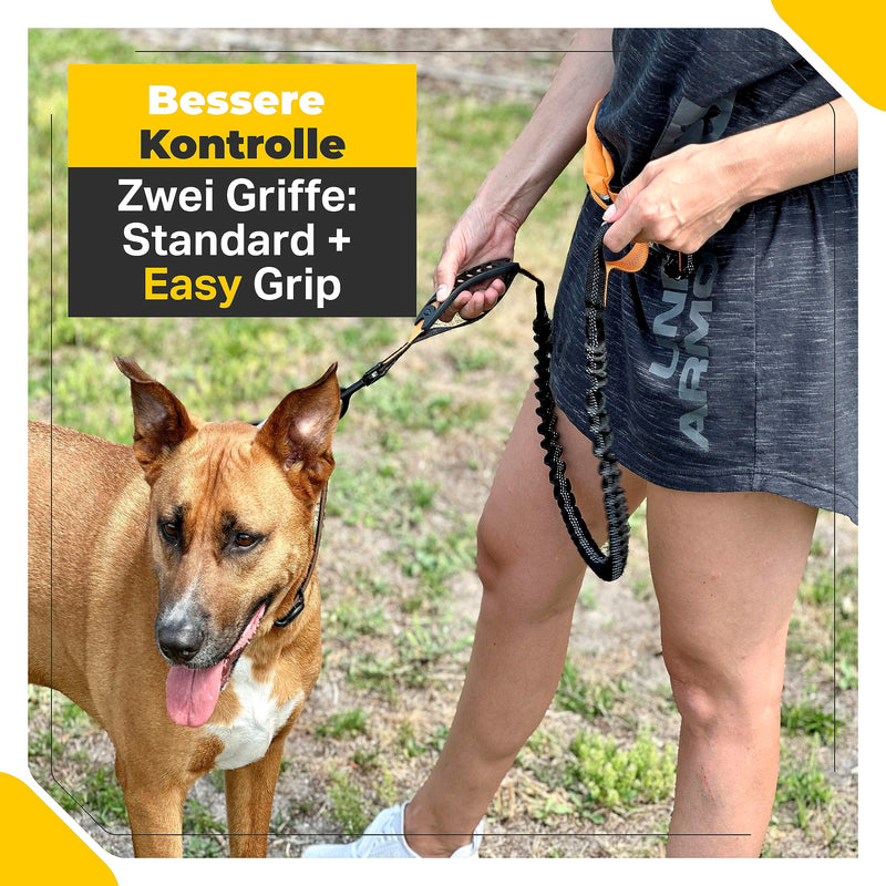 Jogging leash for dogs - Hands-free dog leash for running and hiking - Waist belt dog leash - Elastic bungee leash up to a weight of 60kg Athletic Two dogs - PawsPlanet Australia