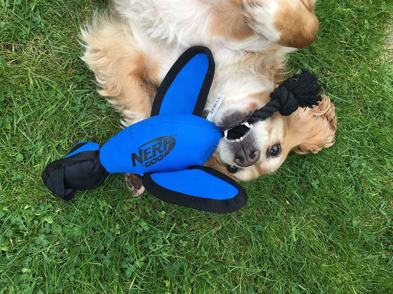 Nerf Dog Large Nylon Launching Duck with Interactive Design Blue - PawsPlanet Australia