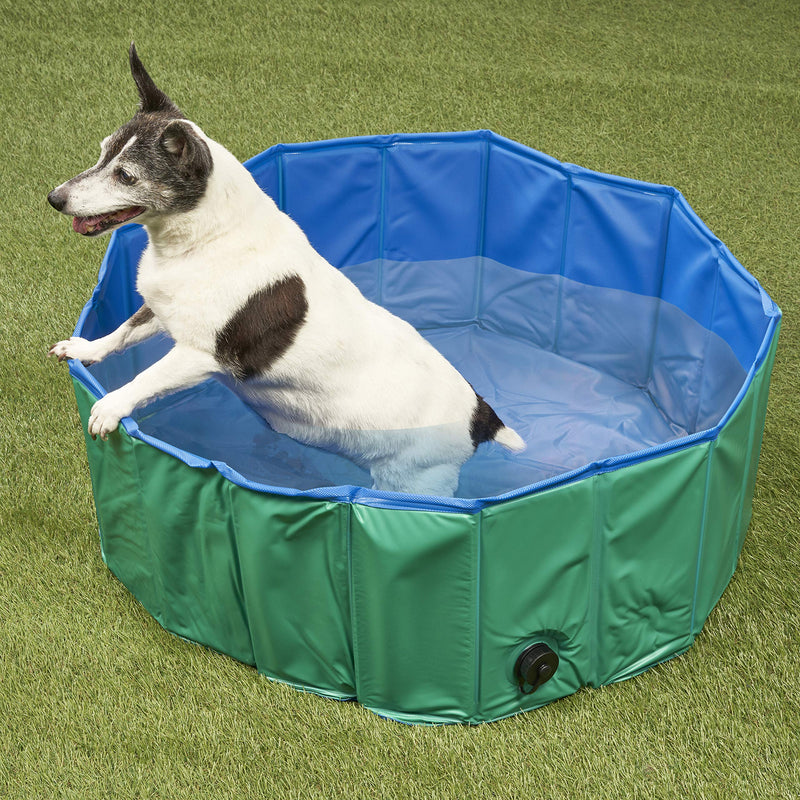 Pet Mania - Medium Green Foldable Pet Swimming Paddling Pool for Dogs - 80x30cm - PawsPlanet Australia