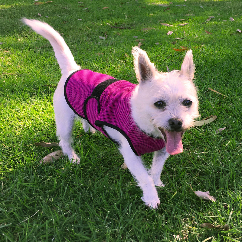 [Australia] - DOGZSTUFF Dog Cooling Vest. Lightweight Jacket with Evaporative Cool Microfiber Technology, UV Protection Shirt, Sizing for Small, Medium and Large Dogs Rose Red 