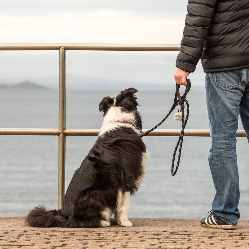 Sweetie Rope Dog Lead - Strong Leash Black with 2 Comfortable Padded Handles 5 FT for Medium & Large Size Pets - Reflective, Weather Resistant & O-Ring Dual Handle Black - PawsPlanet Australia