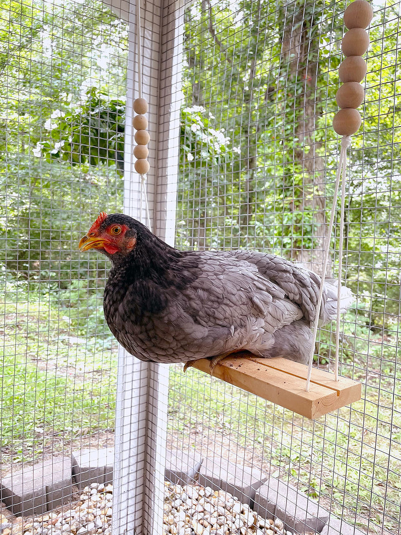 Chicken Swing Toy for Coop Natural Safe Wooden Accessories Handmade in USA! Large Durable Perch Ladder for Poultry Run Rooster Hens Chicks Pet Parrots Macaw Entertainment Stress Relief for Birds - PawsPlanet Australia