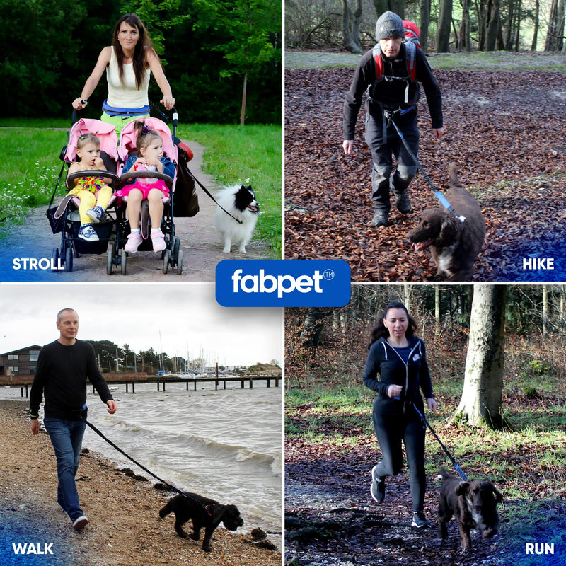 Fabpet Hands Free Dog Lead for Running Walking and Hiking | Strong Double D-ring Belt Design | Adjustable Waist Belt with Integrated Pouch | Reflective Bungee Leash - PawsPlanet Australia
