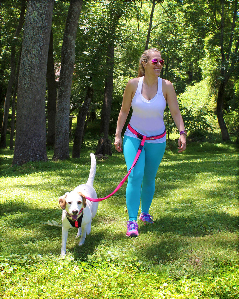 [Australia] - Pawtitas Reflective Running Dog Leash Hands Free with Adjustable Waist Belt for Dog Training | Dog Running Leash Hands Free | Running Belt Leash for Medium Dog & Large Dog - Dog Running Leash Purple 