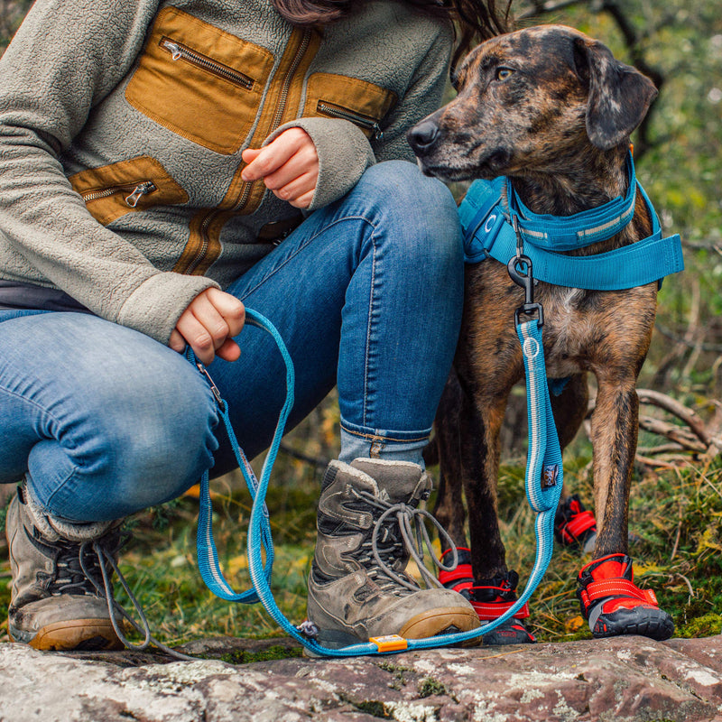 [Australia] - Kurgo Rsg Stub Leash for Dogs | Adjustable Dog Leash | Hands Free Dog Leash for Walking, Jogging, Or Running | Customizable Molle-Compatible Pet Lead | Training Handle | Web Keeper | Reflective | 48” 