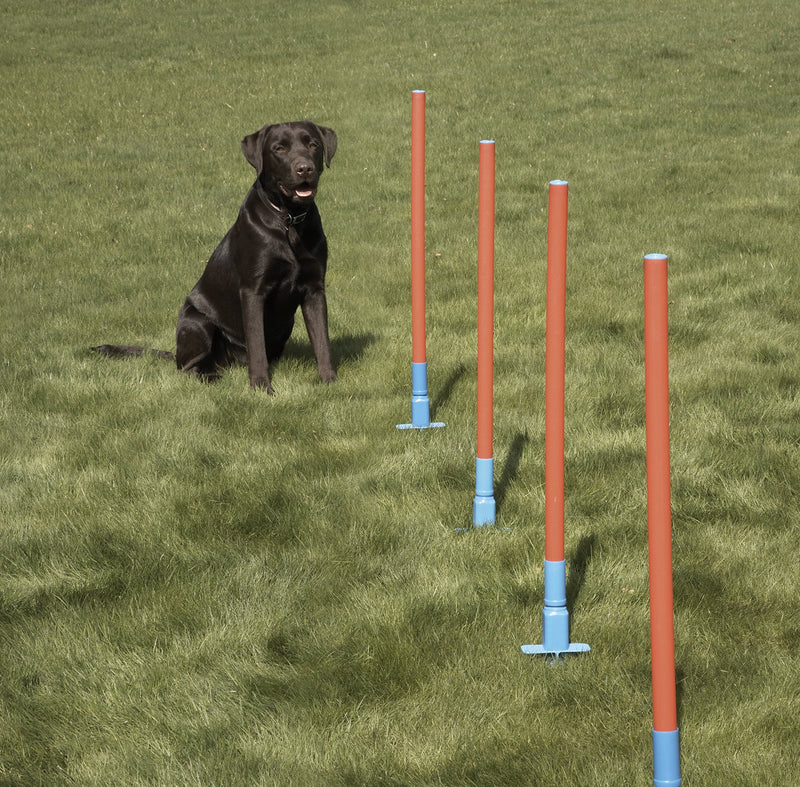 Rosewood Dog Agility Slalom includes Bag style 1 - PawsPlanet Australia