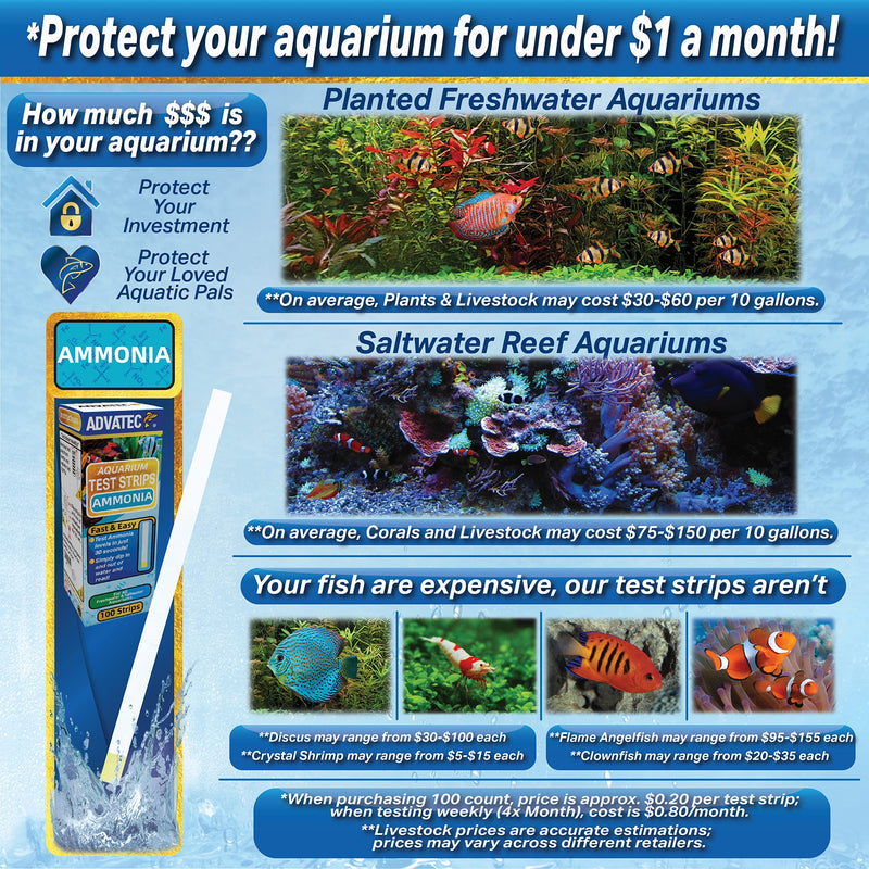 Ammonia Aquarium Test Strips - for Fresh/Salt Water Aquariums, Lab Grade, for Professional Or Home Use - Fast & Accurate Results! (100 Count) 100 Count - PawsPlanet Australia