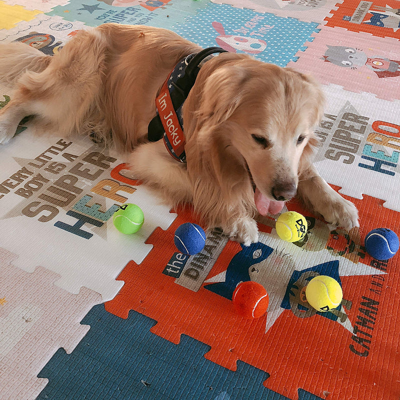 insum Tennis Ball for Dog Pack of 12 Colorful Easy Catching Pet Dog Ball - PawsPlanet Australia