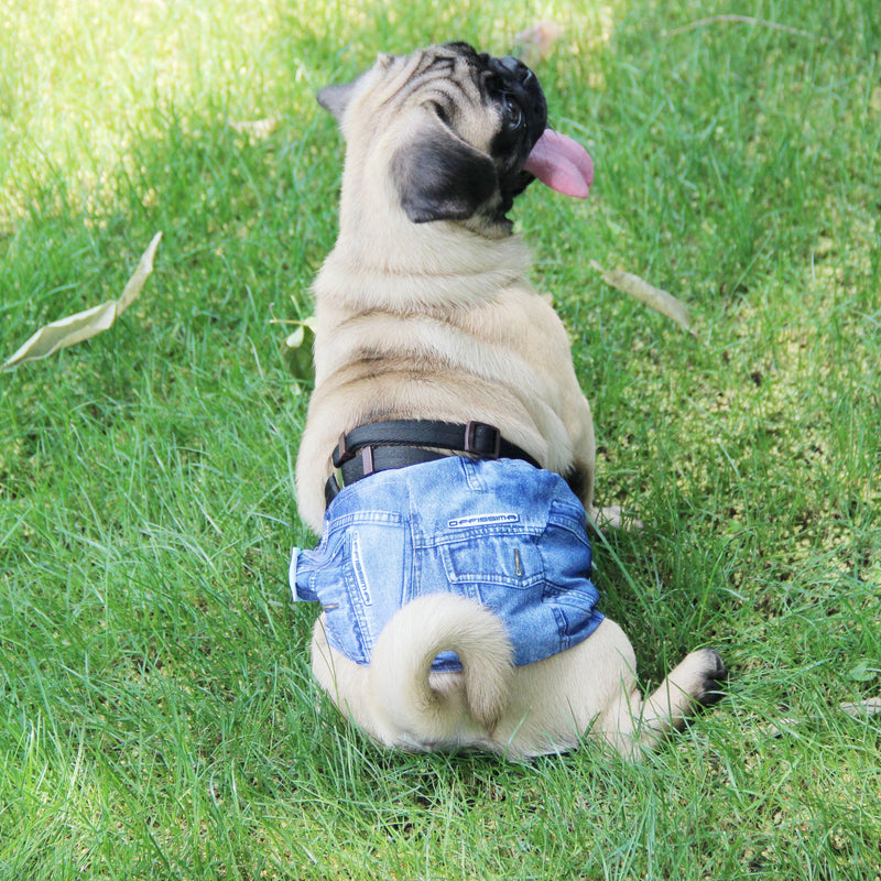 [Australia] - wegreeco Washable Male Dog Diapers (Pack of 2) - Washable Male Dog Belly Wrap S Blue Jeans, Blue Jeans 