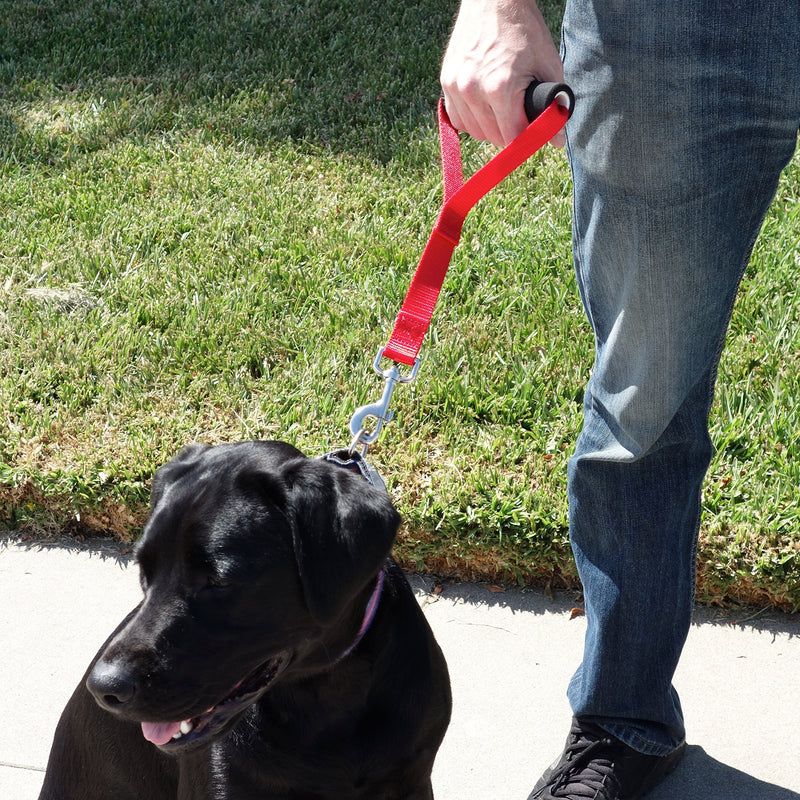 [Australia] - Leashboss Traffic Handler - Short Dog Leash with Traffic Handle for Large Dogs for Double Dog Couplers, Service Dogs, and Training 12 Inch Red 